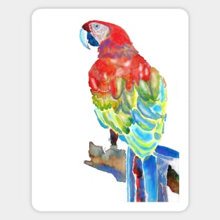Macaw Watercolor Painting Rainbow Parrot Sticker